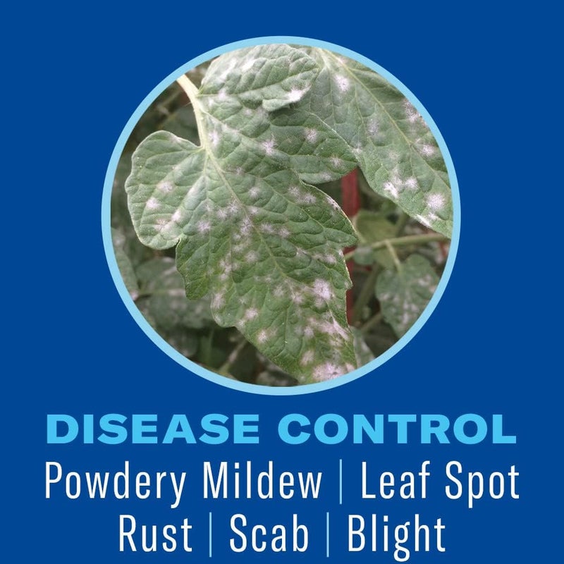 BioAdvanced Houseplant Insect & Mite Control, Ready-to-Use Fungul Disease & Fungus Gnats Killer, 24 oz - Image 2